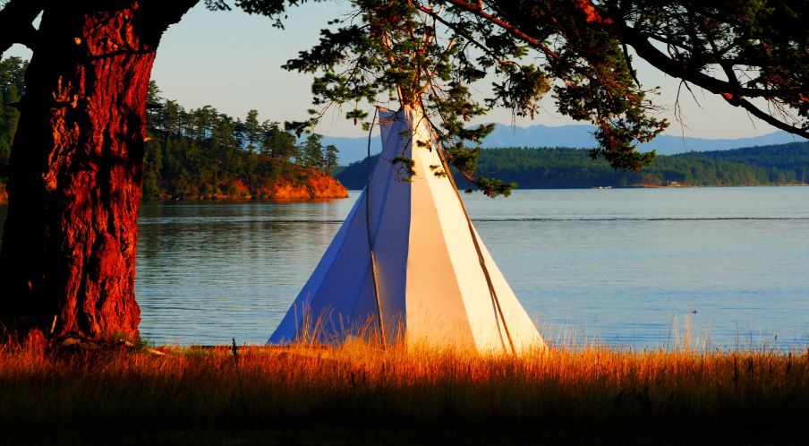 Exploring Nature in Your Backyard: NaturehikeGuides You to Family Yard Camping Fun