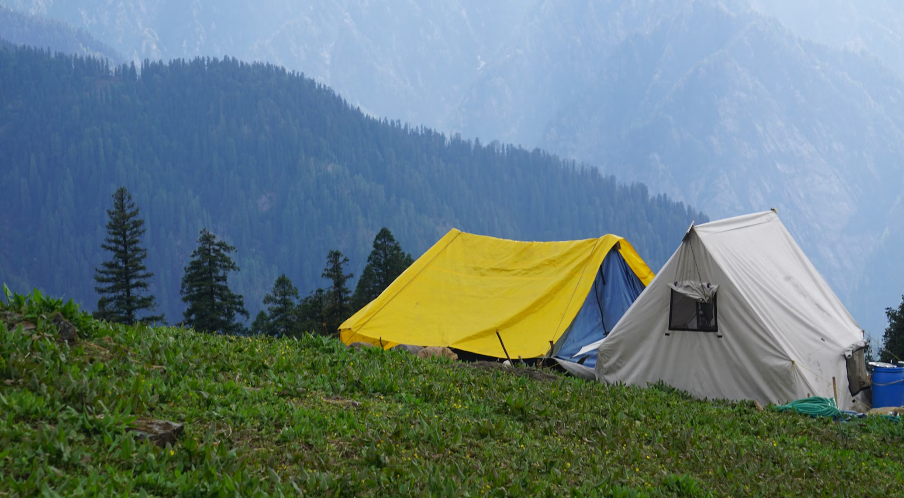 Furry Friends and Fresh Air: A Guide to Camping with Pets